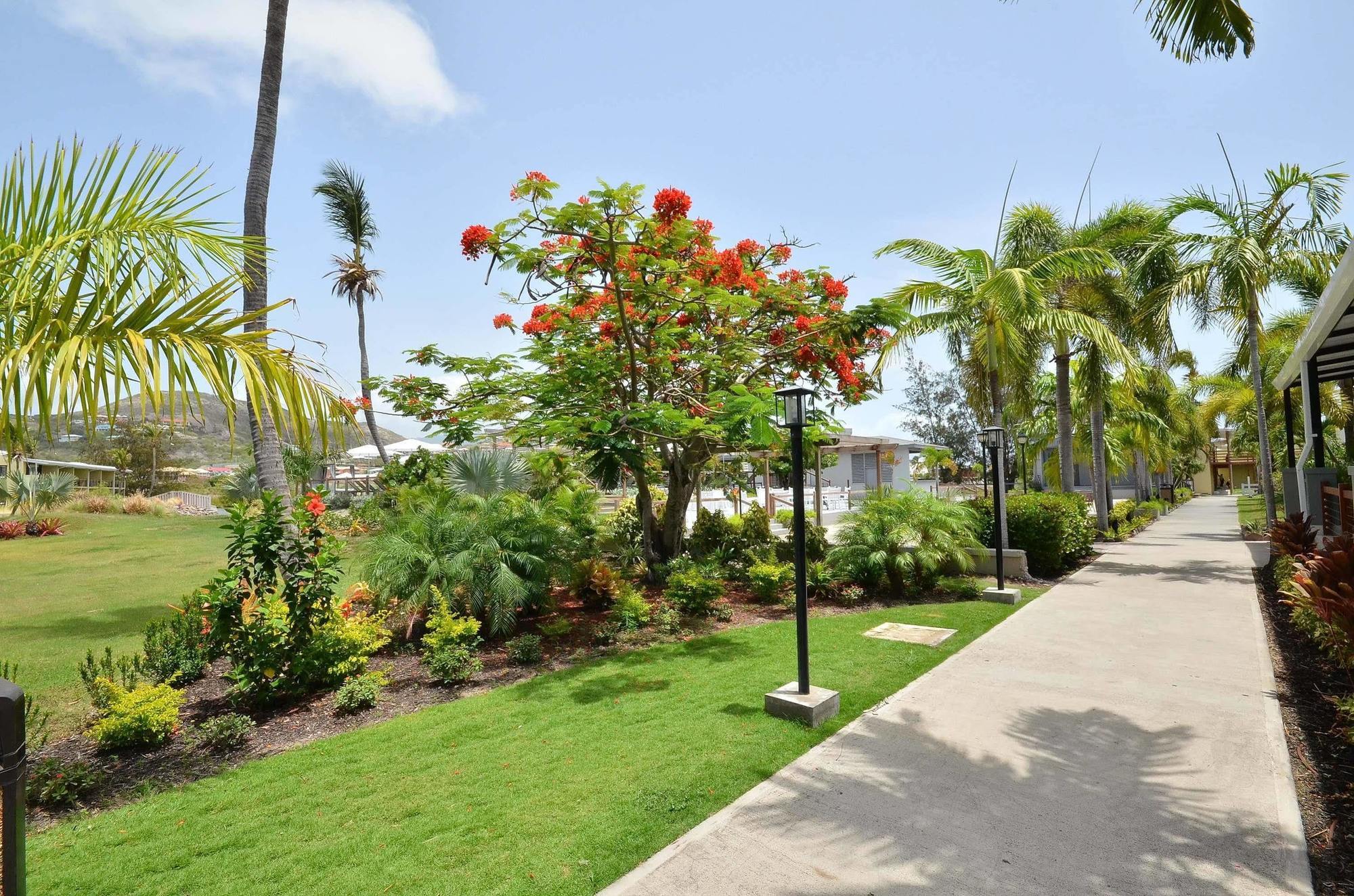 Royal St. Kitts Hotel Frigate Bay Екстер'єр фото